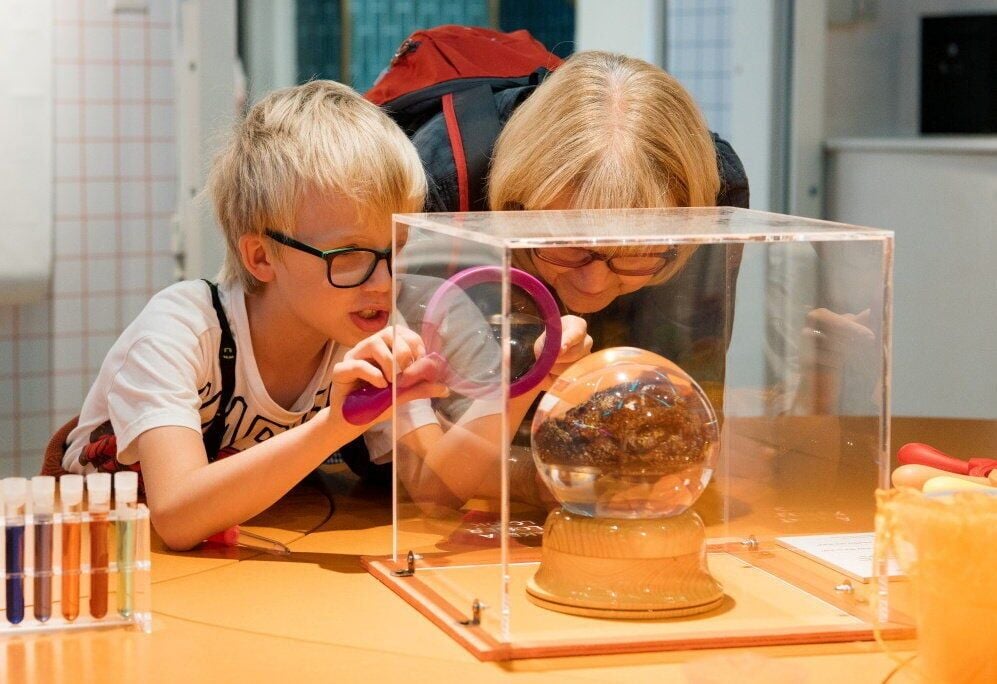 Ancient turd and fart facts feature in cheeky new museum exhibit on poo